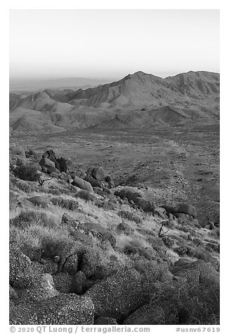 Tramp Ridge at sunrise. Gold Butte National Monument, Nevada, USA (black and white)