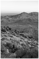Tramp Ridge at sunrise. Gold Butte National Monument, Nevada, USA ( black and white)