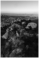 Srubs, boulders on Gold Butte Peak and Lake Mead. Gold Butte National Monument, Nevada, USA ( black and white)