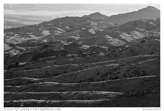 Mica Peak. Gold Butte National Monument, Nevada, USA (black and white)