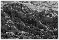Field of granite boulders. Gold Butte National Monument, Nevada, USA ( black and white)