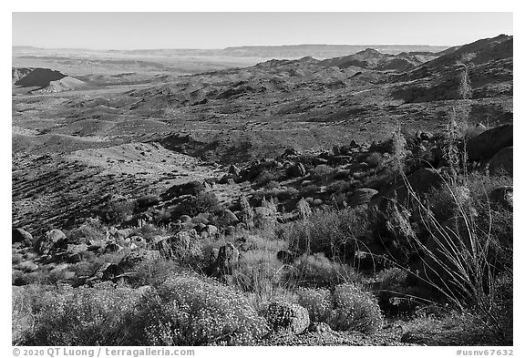 Looking north from Gold Butte Peak. Gold Butte National Monument, Nevada, USA (black and white)