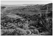 Looking north from Gold Butte Peak. Gold Butte National Monument, Nevada, USA ( black and white)