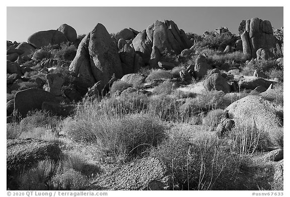 Ridge with boulders, early morning, Gold Butte Peak. Gold Butte National Monument, Nevada, USA (black and white)