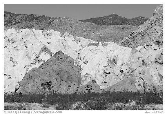 Colorful sandstone, Whitney Pocket. Gold Butte National Monument, Nevada, USA (black and white)