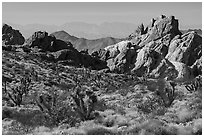 Joshua trees and sandstone rocks with distant opening, Whitney Pocket. Gold Butte National Monument, Nevada, USA ( black and white)