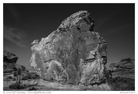 Calvin's Rock at night. Gold Butte National Monument, Nevada, USA (black and white)