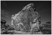 Calvin's Rock at night. Gold Butte National Monument, Nevada, USA ( black and white)