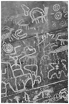 Petroglyph detail. Gold Butte National Monument, Nevada, USA ( black and white)