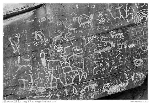 Close up of petroglyphs, Newspaper Rock. Gold Butte National Monument, Nevada, USA (black and white)