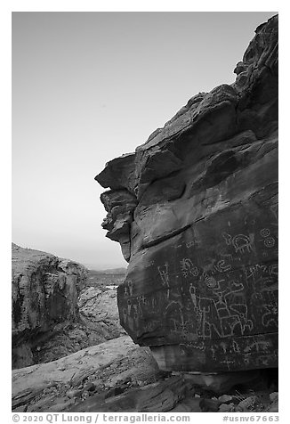 Petroglyphs on Newspaper Rock at dawn. Gold Butte National Monument, Nevada, USA (black and white)