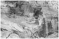Cliff with petroglyph panels. Gold Butte National Monument, Nevada, USA ( black and white)
