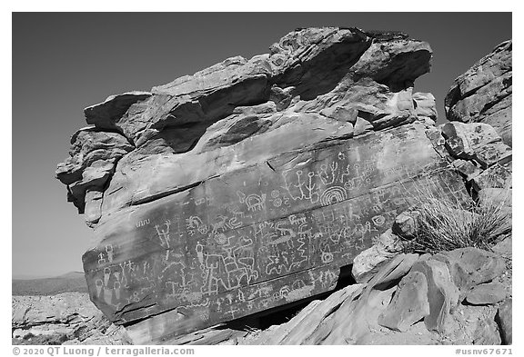 Newspaper Rock with petroglyphs, early morning. Gold Butte National Monument, Nevada, USA (black and white)