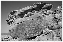 Newspaper Rock with petroglyphs, early morning. Gold Butte National Monument, Nevada, USA ( black and white)