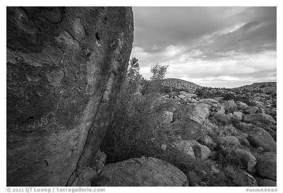 Pahranagat Man petroglyph on boulder and landscape, Shooting Gallery. Basin And Range National Monument, Nevada, USA (black and white)