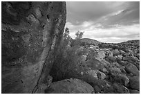 Pahranagat Man petroglyph on boulder and landscape, Shooting Gallery. Basin And Range National Monument, Nevada, USA ( black and white)