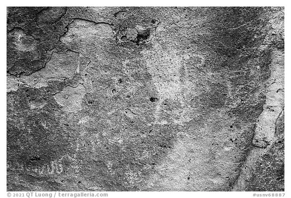 Close-up of snake and Pahranagat Man petroglyph, Shooting Gallery. Basin And Range National Monument, Nevada, USA (black and white)