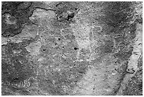 Close-up of snake and Pahranagat Man petroglyph, Shooting Gallery. Basin And Range National Monument, Nevada, USA ( black and white)