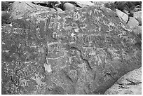 Densely packed petroglyph panel, Shooting Gallery. Basin And Range National Monument, Nevada, USA ( black and white)
