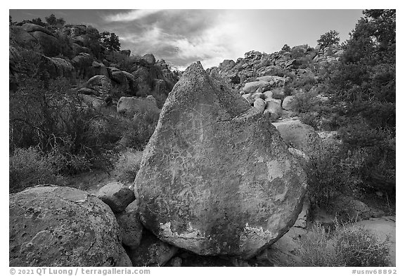 Boulder with petroglyphs, Shooting Gallery. Basin And Range National Monument, Nevada, USA (black and white)