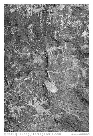 Close-up of petroglyphs, Shooting Gallery. Basin And Range National Monument, Nevada, USA (black and white)