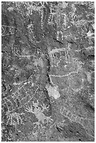 Close-up of petroglyphs, Shooting Gallery. Basin And Range National Monument, Nevada, USA ( black and white)
