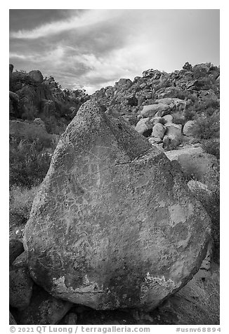 Pointed rock with petroglyphs, Shooting Gallery. Basin And Range National Monument, Nevada, USA (black and white)