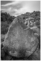 Pointed rock with petroglyphs, Shooting Gallery. Basin And Range National Monument, Nevada, USA ( black and white)