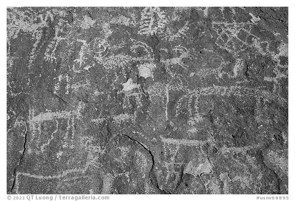 Close-up of densely packed petroglyphs, Shooting Gallery. Basin And Range National Monument, Nevada, USA (black and white)