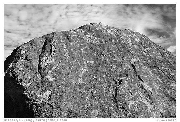 Boulder with densely packed petroglyphs and sky, Shooting Gallery. Basin And Range National Monument, Nevada, USA (black and white)