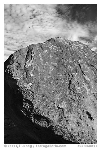 Boulder with dense petroglyphs against the sky, Shooting Gallery. Basin And Range National Monument, Nevada, USA (black and white)