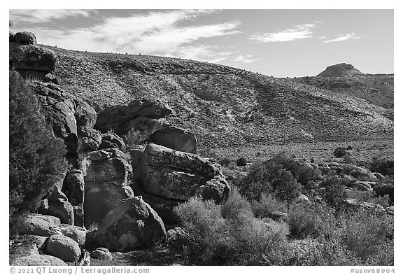 Valley with Seven sheep panel in the distance, Shooting Gallery. Basin And Range National Monument, Nevada, USA (black and white)