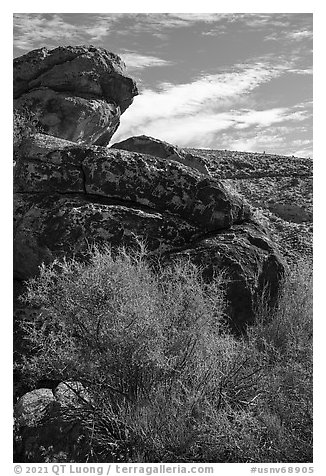 Boulder with Seven sheep panel, Shooting Gallery. Basin And Range National Monument, Nevada, USA (black and white)