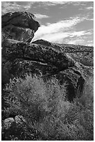 Boulder with Seven sheep panel, Shooting Gallery. Basin And Range National Monument, Nevada, USA ( black and white)