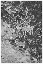 Close up of Starburst deer petroglyph. Basin And Range National Monument, Nevada, USA ( black and white)