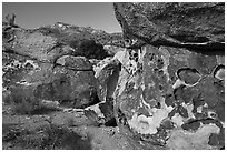 Petroglyphs on Paiute Rocks, Mount Irish Archeological Area. Basin And Range National Monument, Nevada, USA ( black and white)