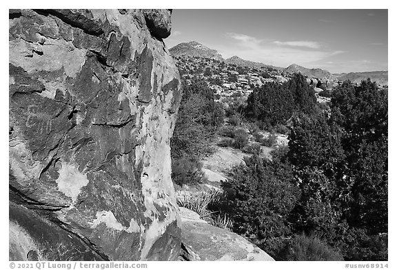 Petroglyphs on Shaman Hill, Mount Irish Archeological Area. Basin And Range National Monument, Nevada, USA (black and white)