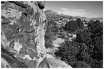 Petroglyphs on Shaman Hill, Mount Irish Archeological Area. Basin And Range National Monument, Nevada, USA ( black and white)