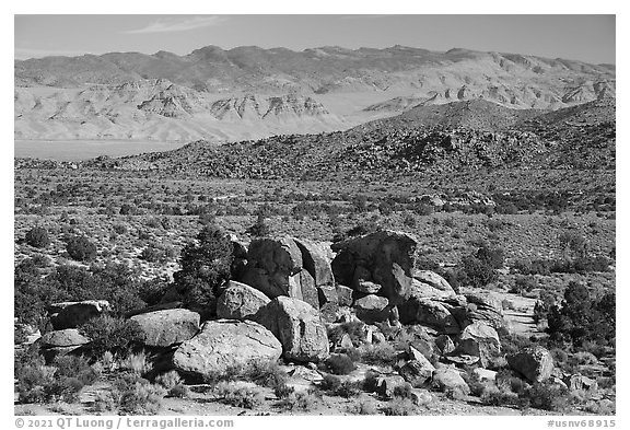 Shaman Knob, Mount Irish Petroglyph Area. Basin And Range National Monument, Nevada, USA (black and white)