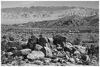 Shaman Knob, Mount Irish Petroglyph Area. Basin And Range National Monument, Nevada, USA ( black and white)