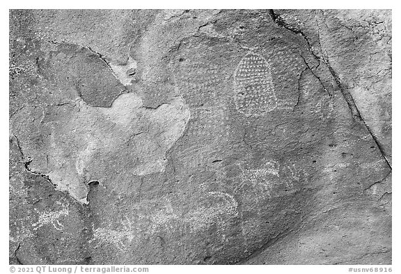 Close-up of petroglyphs on Shaman Hill, Mount Irish Archeological Area. Basin And Range National Monument, Nevada, USA (black and white)