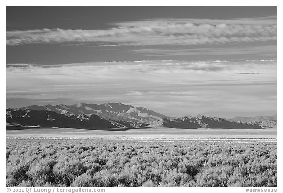 Golden Gate Range from Coal Valley. Basin And Range National Monument, Nevada, USA (black and white)