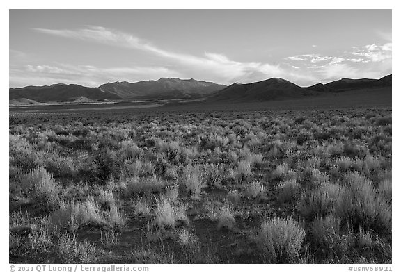 Southern Coal Valley near Murphy Gap, late afternoon. Basin And Range National Monument, Nevada, USA (black and white)