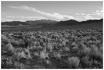 Southern Coal Valley near Murphy Gap, late afternoon. Basin And Range National Monument, Nevada, USA ( black and white)