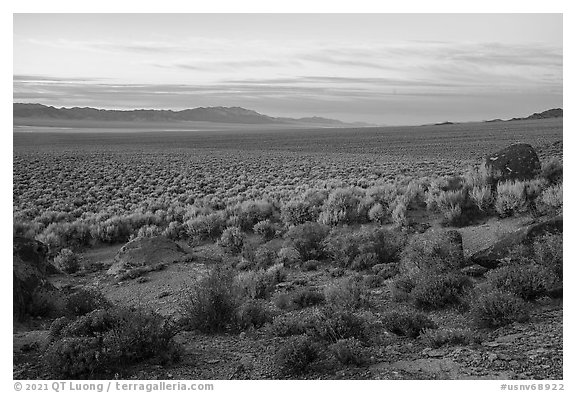 Garden Valley, sunset. Basin And Range National Monument, Nevada, USA (black and white)