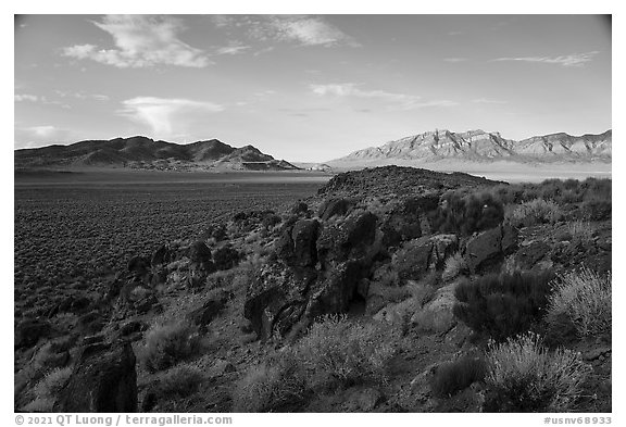 Blooms, ash boulders, and Worthington Mountains. Basin And Range National Monument, Nevada, USA (black and white)