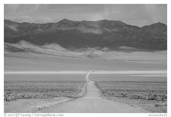 Road through Garden Valley. Basin And Range National Monument, Nevada, USA (black and white)