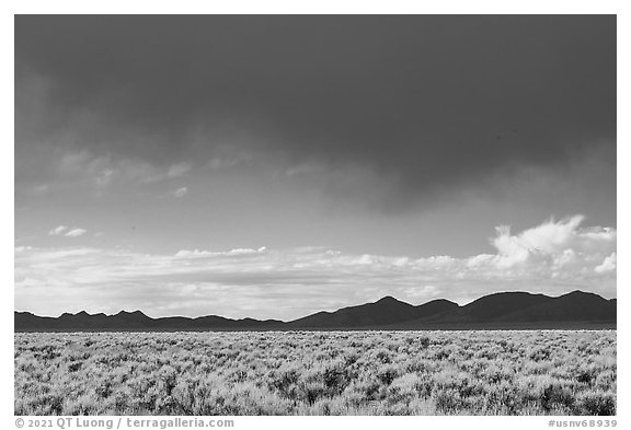 Garden Valley and Quinn Canyon Range. Basin And Range National Monument, Nevada, USA (black and white)
