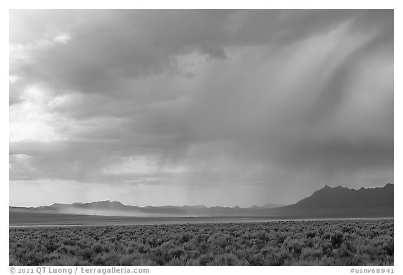 Sagebrush and distant storm, Garden Valley. Basin And Range National Monument, Nevada, USA (black and white)