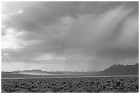 Sagebrush and distant storm, Garden Valley. Basin And Range National Monument, Nevada, USA ( black and white)